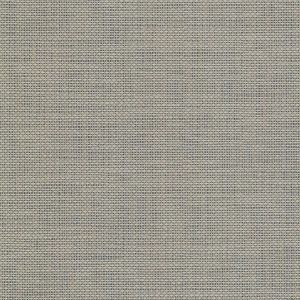 49920001 ― Eades Discount Wallpaper & Discount Fabric