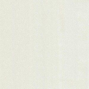 49920022 ― Eades Discount Wallpaper & Discount Fabric