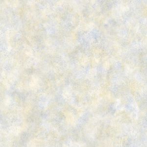 49941326 ― Eades Discount Wallpaper & Discount Fabric