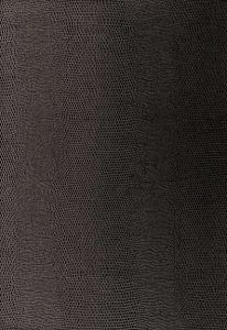 5005841 ― Eades Discount Wallpaper & Discount Fabric
