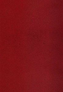 5005853 ― Eades Discount Wallpaper & Discount Fabric