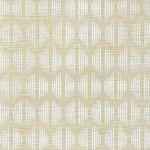 5008271 ― Eades Discount Wallpaper & Discount Fabric