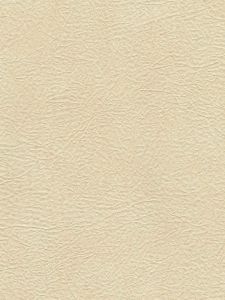  506426  ― Eades Discount Wallpaper & Discount Fabric