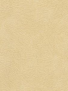 506433  ― Eades Discount Wallpaper & Discount Fabric