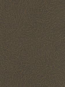 506457  ― Eades Discount Wallpaper & Discount Fabric