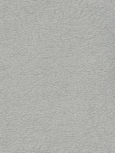 506464  ― Eades Discount Wallpaper & Discount Fabric