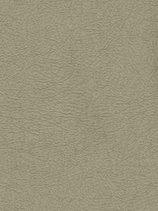 506471  ― Eades Discount Wallpaper & Discount Fabric
