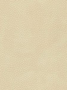 506525  ― Eades Discount Wallpaper & Discount Fabric