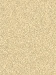 506532  ― Eades Discount Wallpaper & Discount Fabric