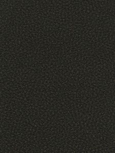 506556  ― Eades Discount Wallpaper & Discount Fabric