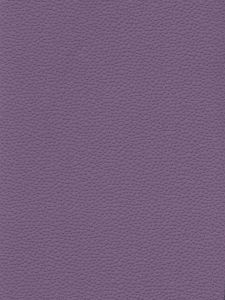 50709  ― Eades Discount Wallpaper & Discount Fabric