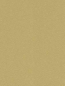 50717  ― Eades Discount Wallpaper & Discount Fabric