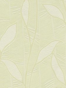 50738  ― Eades Discount Wallpaper & Discount Fabric