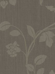 50937  ― Eades Discount Wallpaper & Discount Fabric