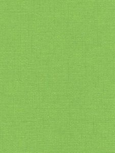 51508  ― Eades Discount Wallpaper & Discount Fabric