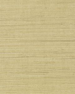 5411 ― Eades Discount Wallpaper & Discount Fabric
