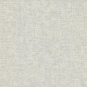 5551 ― Eades Discount Wallpaper & Discount Fabric