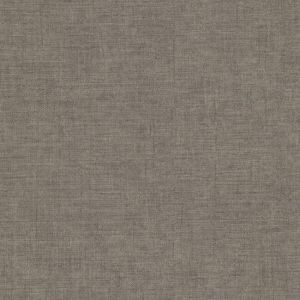 5559 ― Eades Discount Wallpaper & Discount Fabric