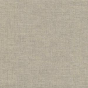 5572 ― Eades Discount Wallpaper & Discount Fabric