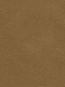 5751910  ― Eades Discount Wallpaper & Discount Fabric