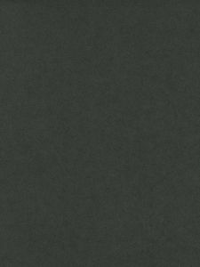  5751931  ― Eades Discount Wallpaper & Discount Fabric
