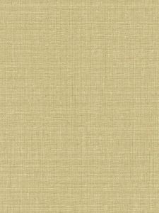621549  ― Eades Discount Wallpaper & Discount Fabric
