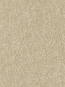 621579  ― Eades Discount Wallpaper & Discount Fabric