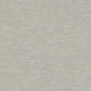 6411 ― Eades Discount Wallpaper & Discount Fabric