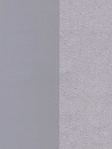 67066926 ― Eades Discount Wallpaper & Discount Fabric