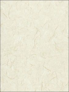 6993325R ― Eades Discount Wallpaper & Discount Fabric