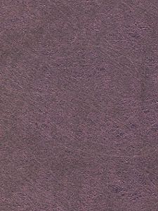 71701 ― Eades Discount Wallpaper & Discount Fabric
