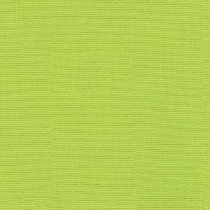 721973 ― Eades Discount Wallpaper & Discount Fabric