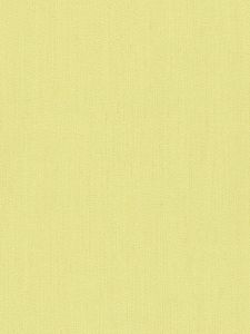 764130  ― Eades Discount Wallpaper & Discount Fabric