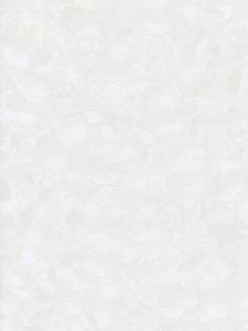77919  ― Eades Discount Wallpaper & Discount Fabric