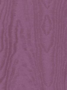  77974  ― Eades Discount Wallpaper & Discount Fabric