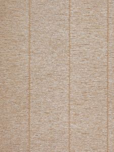 79555  ― Eades Discount Wallpaper & Discount Fabric
