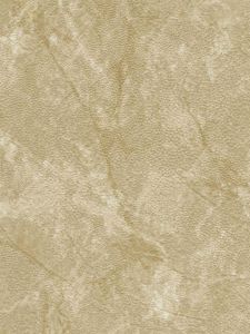 7993135R ― Eades Discount Wallpaper & Discount Fabric
