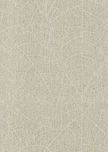 799804 ― Eades Discount Wallpaper & Discount Fabric