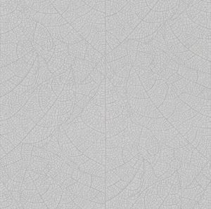 799828 ― Eades Discount Wallpaper & Discount Fabric