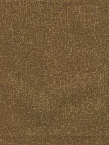 8170E0821  ― Eades Discount Wallpaper & Discount Fabric