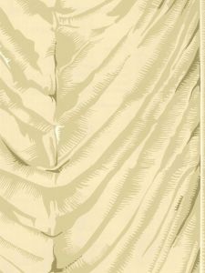 8496E0021  ― Eades Discount Wallpaper & Discount Fabric