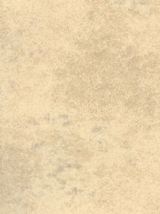 8593E0038  ― Eades Discount Wallpaper & Discount Fabric