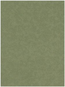8602E0710  ― Eades Discount Wallpaper & Discount Fabric