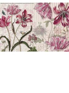 8NW510 ― Eades Discount Wallpaper & Discount Fabric