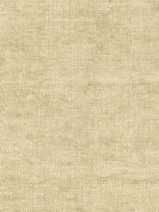  98T5024  ― Eades Discount Wallpaper & Discount Fabric