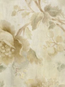 AB20008 ― Eades Discount Wallpaper & Discount Fabric