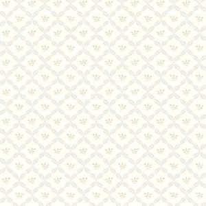 AB2164 ― Eades Discount Wallpaper & Discount Fabric