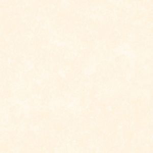 AB27667 ― Eades Discount Wallpaper & Discount Fabric