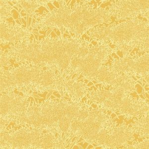 AC60013 ― Eades Discount Wallpaper & Discount Fabric