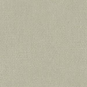 AF6534 ― Eades Discount Wallpaper & Discount Fabric